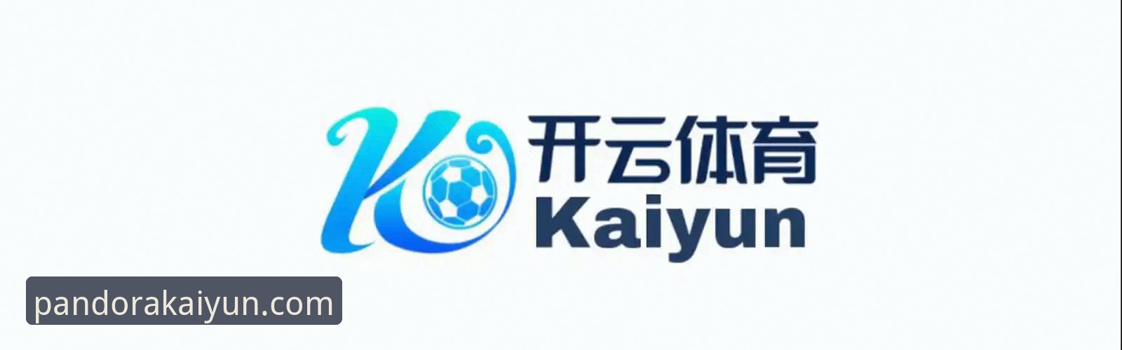 kaiyun体育入口vs第三方渠道：哪个才是真正的开云官网登录推荐？